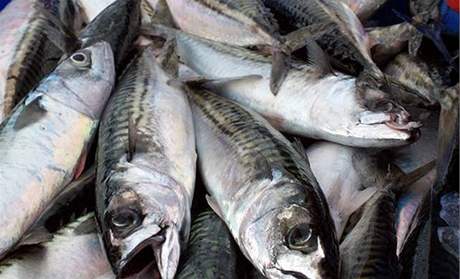 Biem na cholesterol je pravidelná konzumace ryb.